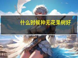 什么时候种无花果树好