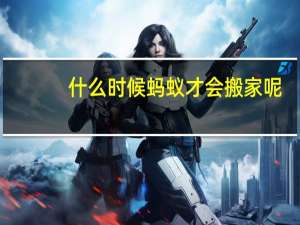 什么时候蚂蚁才会搬家呢