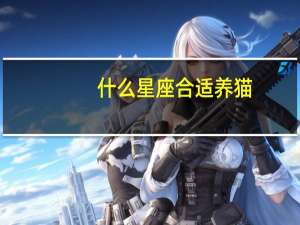 什么星座合适养猫