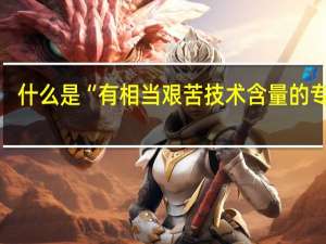 什么是“有相当艰苦技术含量的专业”