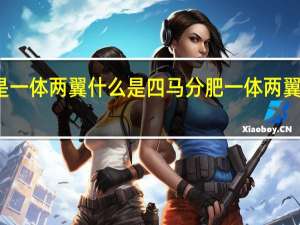 什么是一体两翼什么是四马分肥 一体两翼指的是什么
