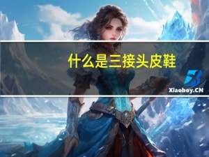 什么是三接头皮鞋