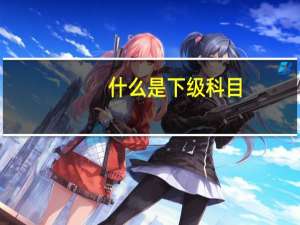 什么是下级科目