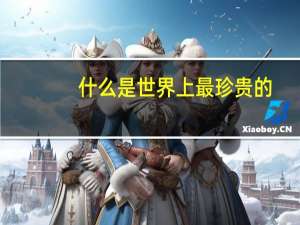 什么是世界上最珍贵的