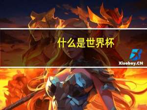 什么是世界杯