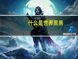 什么是世界贸易
