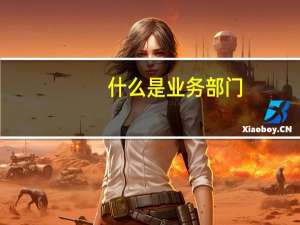 什么是业务部门