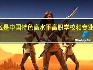 什么是中国特色高水平高职学校和专业建设计划