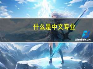 什么是中文专业