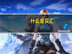 什么是买汇