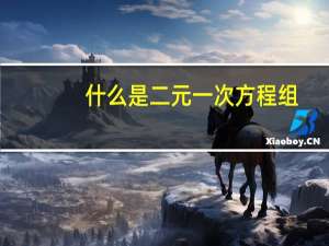什么是二元一次方程组