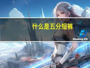 什么是五分短裤
