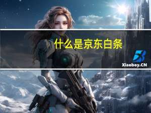 什么是京东白条