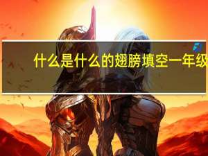 什么是什么的翅膀填空一年级