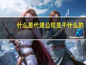 什么是代建公司是干什么的
