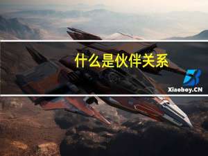 什么是伙伴关系