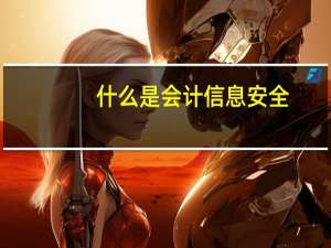什么是会计信息安全