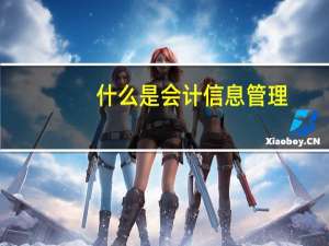 什么是会计信息管理