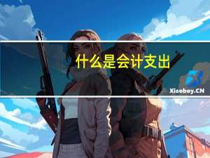 什么是会计支出