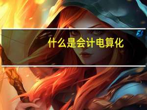 什么是会计电算化,谈谈你对会计电算化的认识.