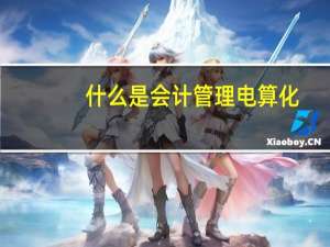 什么是会计管理电算化
