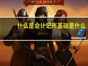 什么是会计记账基础是什么