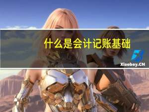 什么是会计记账基础