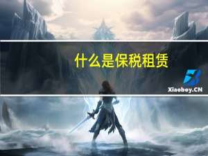 什么是保税租赁