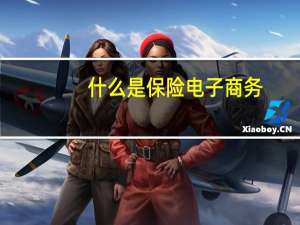 什么是保险电子商务