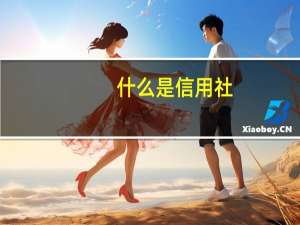 什么是信用社