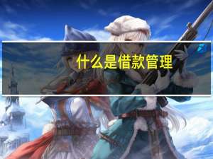 什么是借款管理