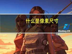 什么是像素尺寸（什么是像素）