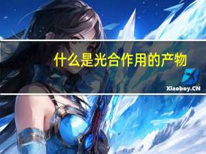 什么是光合作用的产物