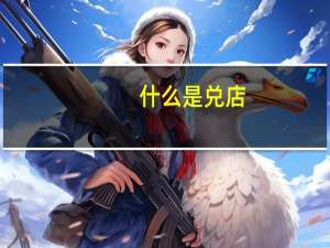 什么是兑店