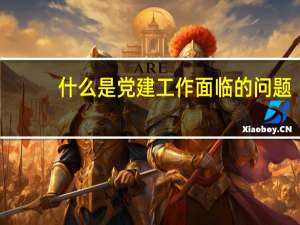 什么是党建工作面临的问题（什么是党建工作）