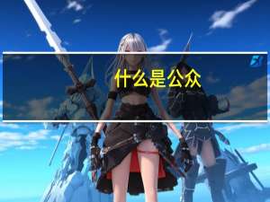 什么是公众