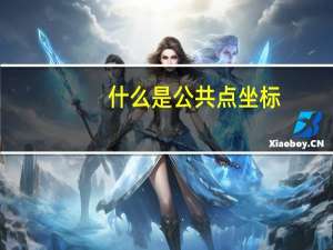 什么是公共点坐标