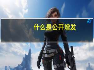 什么是公开增发