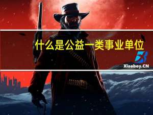 什么是公益一类事业单位