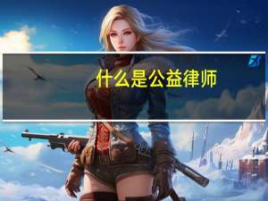 什么是公益律师