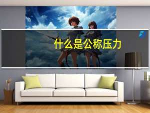 什么是公称压力