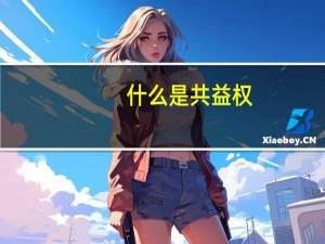 什么是共益权