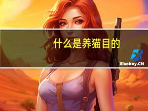 什么是养猫目的