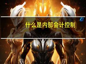 什么是内部会计控制