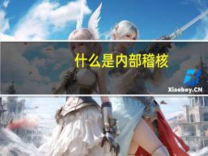 什么是内部稽核