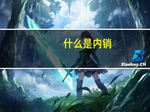 什么是内销