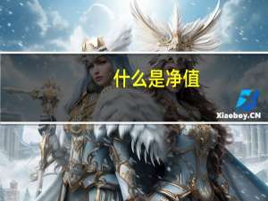 什么是净值