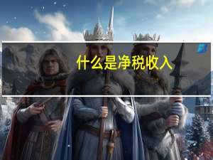什么是净税收入