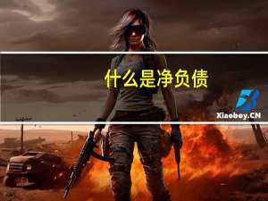 什么是净负债