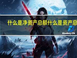什么是净资产总额什么是资产总额（资产总额和净资产总额有何区别）